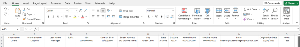 excel sheet on client dispute manager software for business