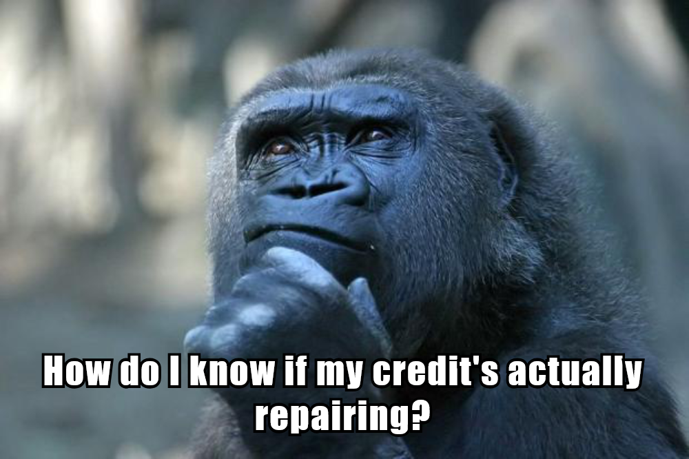No Clear System to Measure Credit Repair Progress